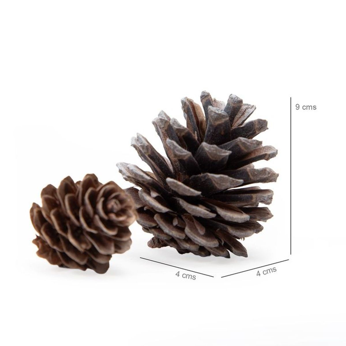 MICA - Set Adornos Piñas Con Brillo 20cm