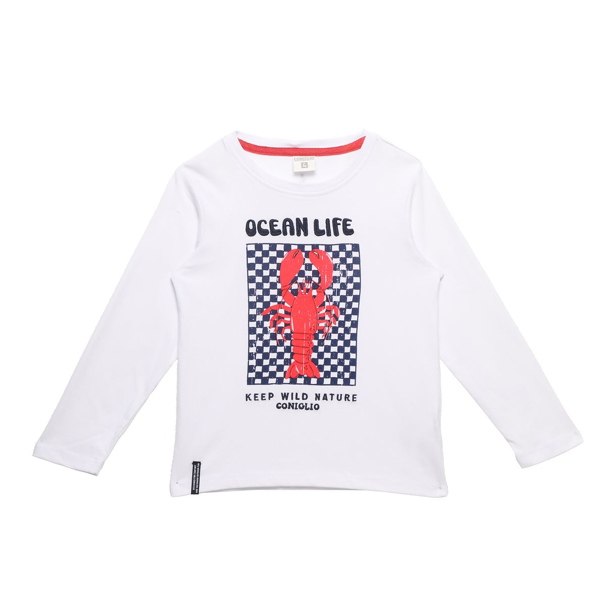  - Polo Niño Algodón Coniglio