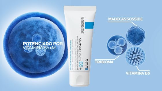 Ingredientes Crema Reparadora Cicaplast Baume B5+