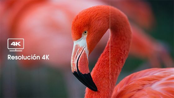 4K Resolution