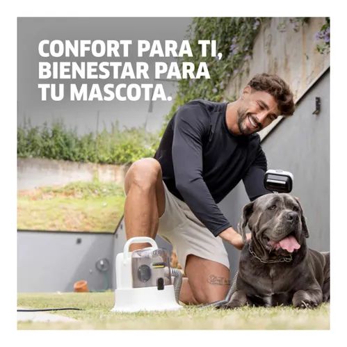 Perros