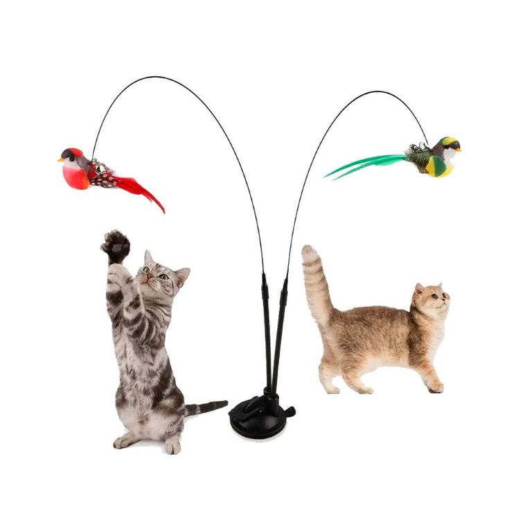 Juguetes y entretención para gatos