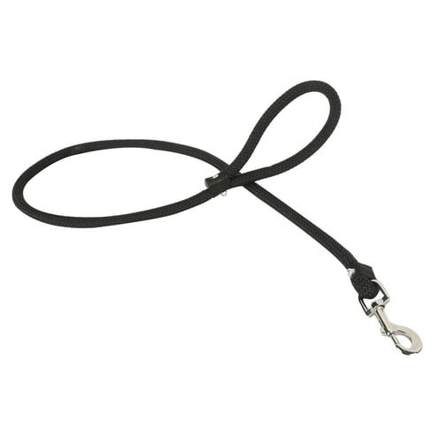 Correas para perros
