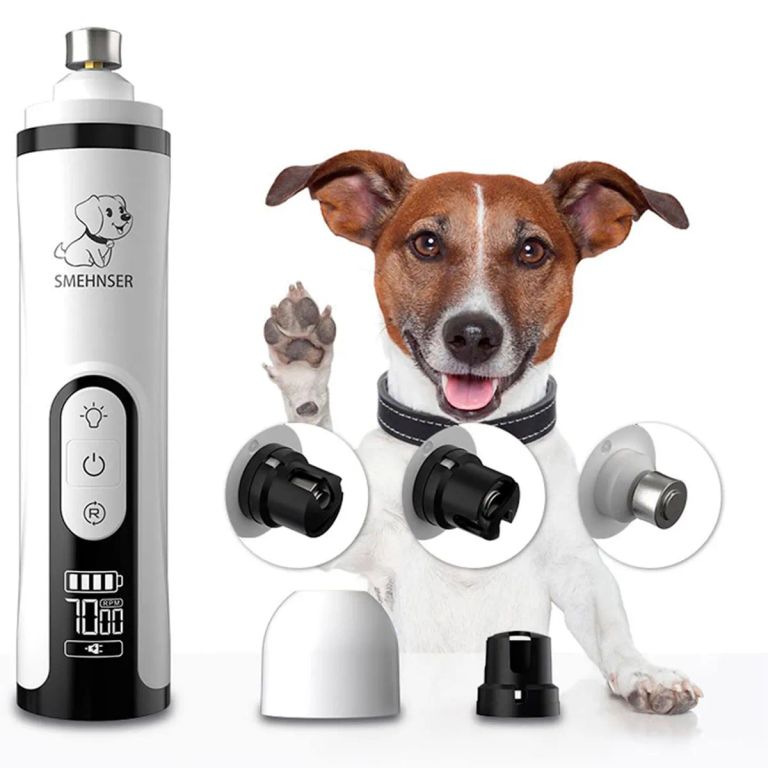 Peluqueria canina