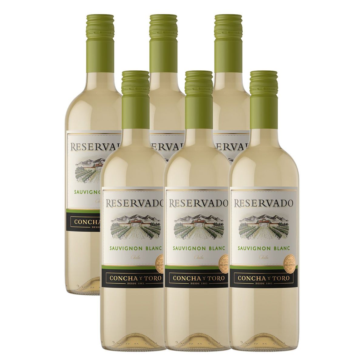 CONCHA & TORO - Vino Reservado Concha y Toro Sauvignon Blanc 750ML x 6 Botellas