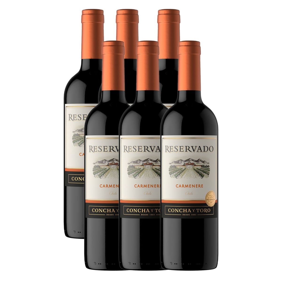 VIÑA CONCHA Y TORO - Vino Reservado Concha y Toro Carmenere 750ML x 6 Botellas