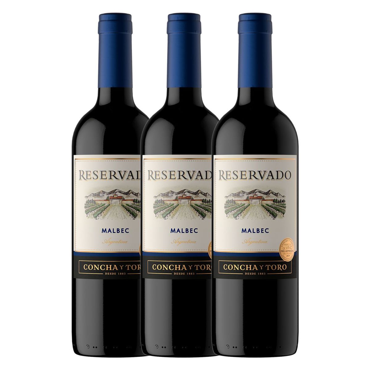 VIÑA CONCHA Y TORO - Vino Reservado Concha y Toro Malbec 750ML x 3 Botellas