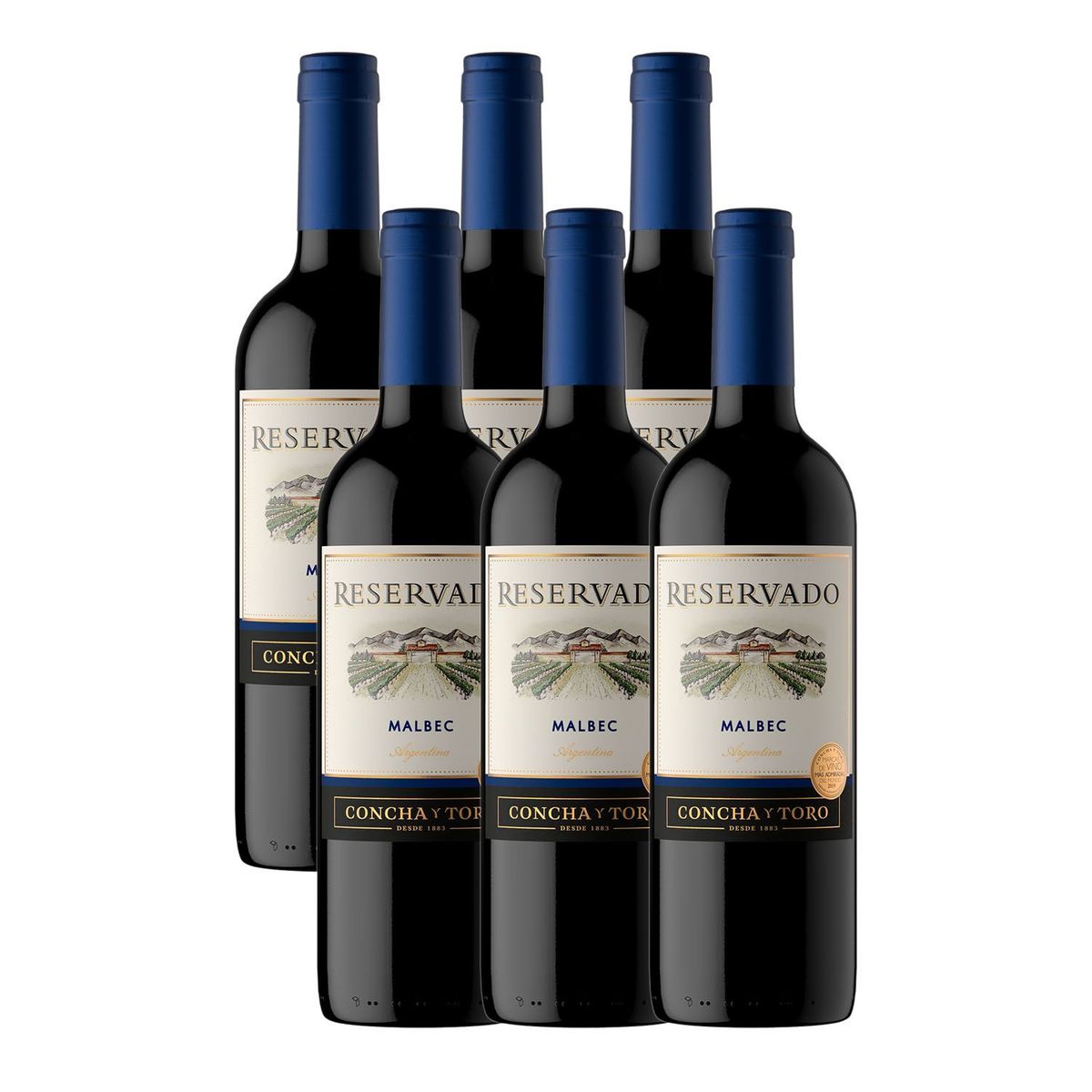 VIÑA CONCHA Y TORO - Vino Reservado Concha y Toro Malbec 750ML x 6 Botellas