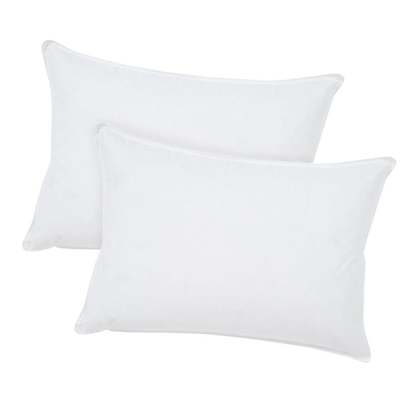 MICA - Set x2 Almohadas Plumas