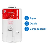Termotanque gas natural 50 L tiro natural carga superior ap-50