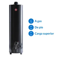 Termotanque gas natural 160 L tiro natural carga superior apg160nrh07