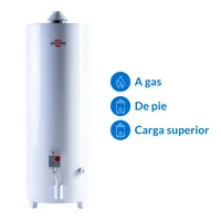 Termotanque gas natural 120 L tiro natural carga superior tpg120msa