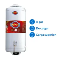 Termotanque gas natural 70 L tiro natural carga superior tpop8ns070