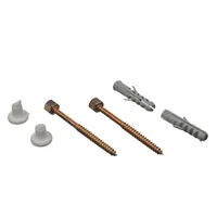 Tornillo para inodoro 22 x 70 mm con conito plástico