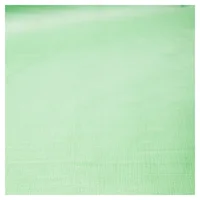 Rafia laminada verde 2 m