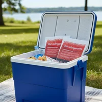 Gel refrigerante 300 gr