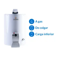 Termotanque gas natural 50 L tiro natural carga inferior tpg050msa