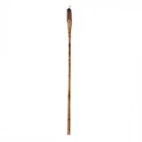 Antorcha Tigre