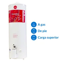 Termotanque eléctrico 80 L carga superior the-80