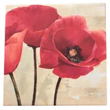Canvas con bastidor 80 x 80 cm