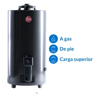 Termotanque gas natural 80 L tiro natural carga superior tgnp080rh