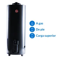 Termotanque gas natural 120 L tiro natural carga superior tgnp120rh
