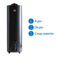 Termotanque gas natural 150 L tiro natural carga superior tgnp150rh