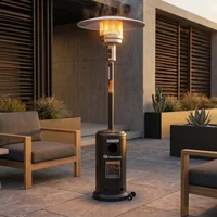 Estufa a gas de exterior 12000 kcal negro