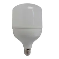 Lámpara LED T125 eco 38 W E27 fría