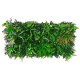 Jardín vertical tropical 50 x 100 cm