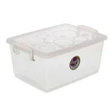 Caja plástica organizadora transparente 7,5 Lts.