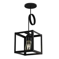 Lámpara de techo colgante negra 1 luz E27