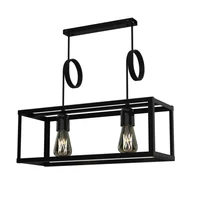 Lámpara de techo colgante negra 2 luces E27