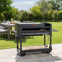 Parrilla a carbón Gaucha con tapa y ruedas