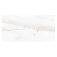 Gres porcelánico marmolado Elegance blanco 60 x 120 cm