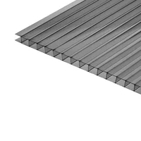 Placa de policarbonato alveolar gris 1.05 x 1.45 m 6 mm