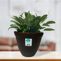 Maceta circular de plástico Finny 24 cm negra