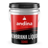 Membrana líquida Obra para techos blanca 20 L