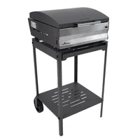 Parrilla eléctrica Angus 480
