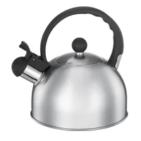 Pava silvadora 2 L plateada