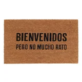 Felpudo No Mucho de PVC 45 x 75 cm