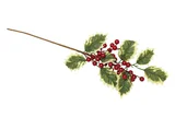Pick PoinConjunto Tia Berries Noel