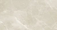 Porcelanato Polido Fuji Sand 63X120 Cx 2.25 Delta Cerâmica