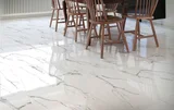 Piso Pr6021 Rt Pol 60X60 Cx2.52