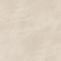 Porcelanato Ortiz Bege Abs r 119,5x119,5 Caixa 2,85