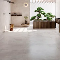 Porcelanato Ortiz Cz Abs Retificado 119,5x119,5 Caixa 2,85