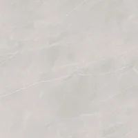 Porcelanato Ortiz Cz Acetinado Retificado 119,5x119,5 Caixa 2,85