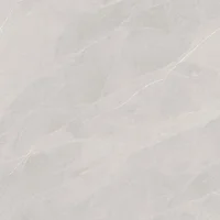 Porcelanato Ortiz Cz Mc Retificado 119,5x119,5 Caixa 2,85