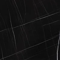 Porcelanato Sahara Noir Mt Retificado 119,5x119,5cm Caixa 2,85m² Incepa
