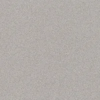 Porcelanato ra Micron Zinco 60x60 Caixa 1,44